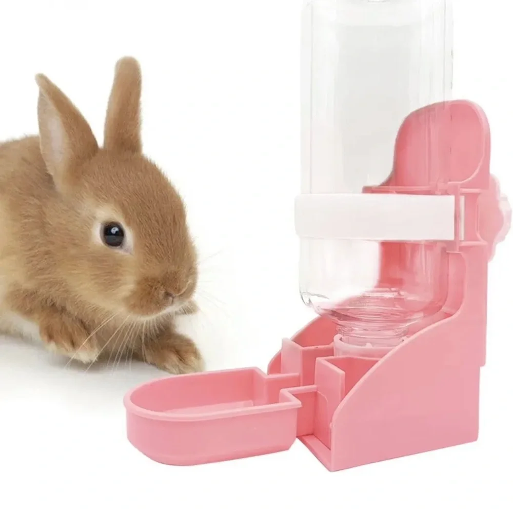 Pet water bottle